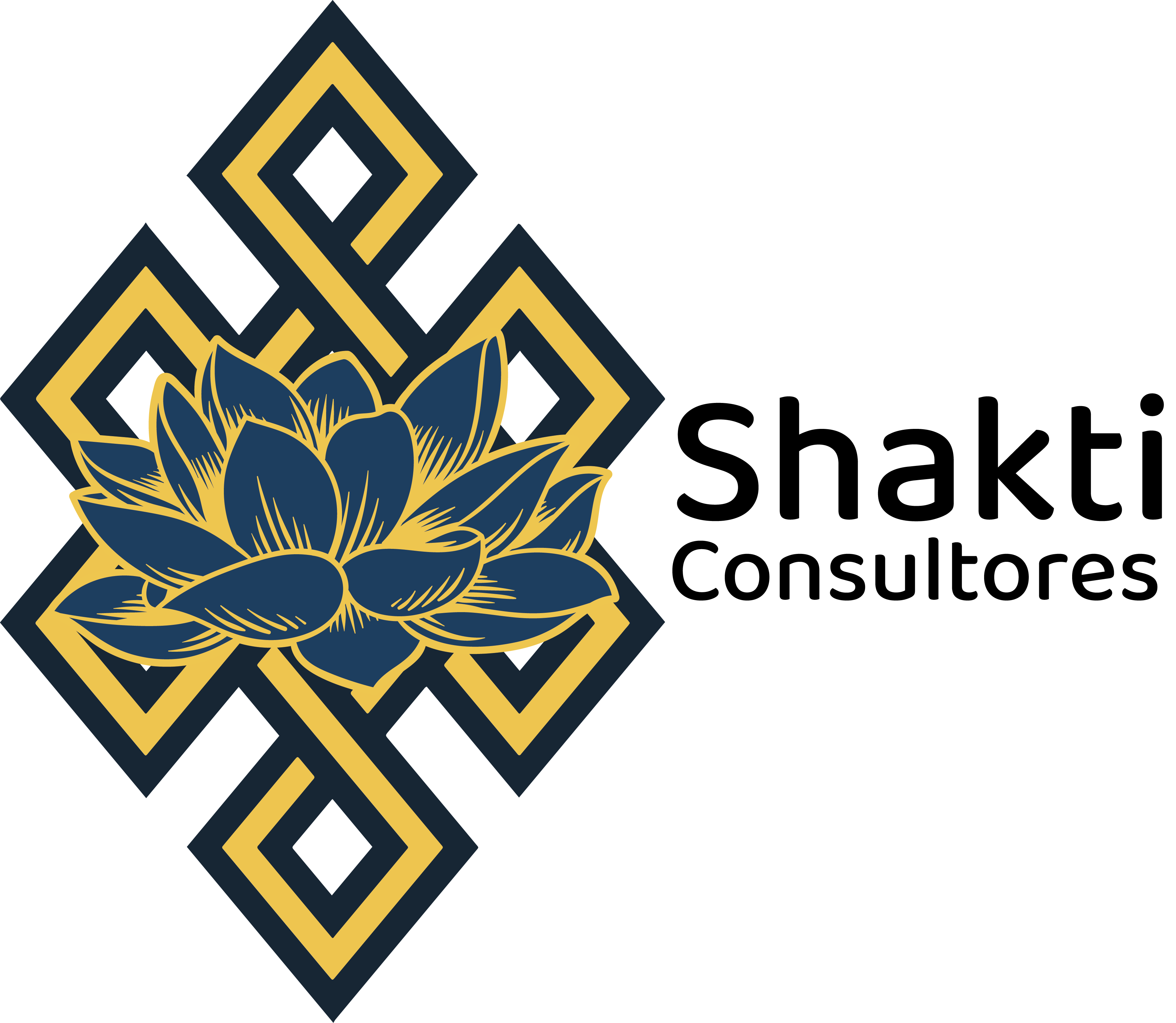 Shakti Consultores